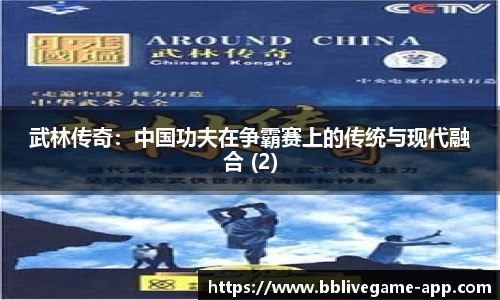 武林传奇：中国功夫在争霸赛上的传统与现代融合 (2)
